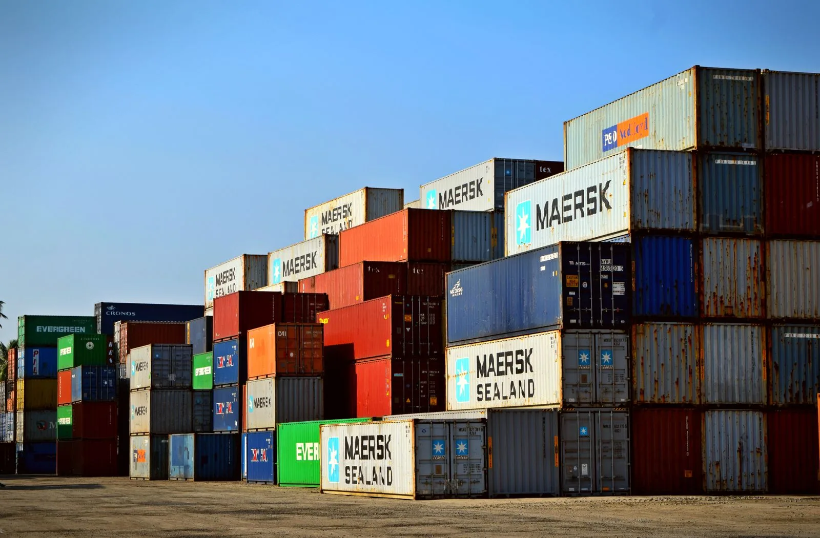 Logistics Digital Transformation Horror Stories